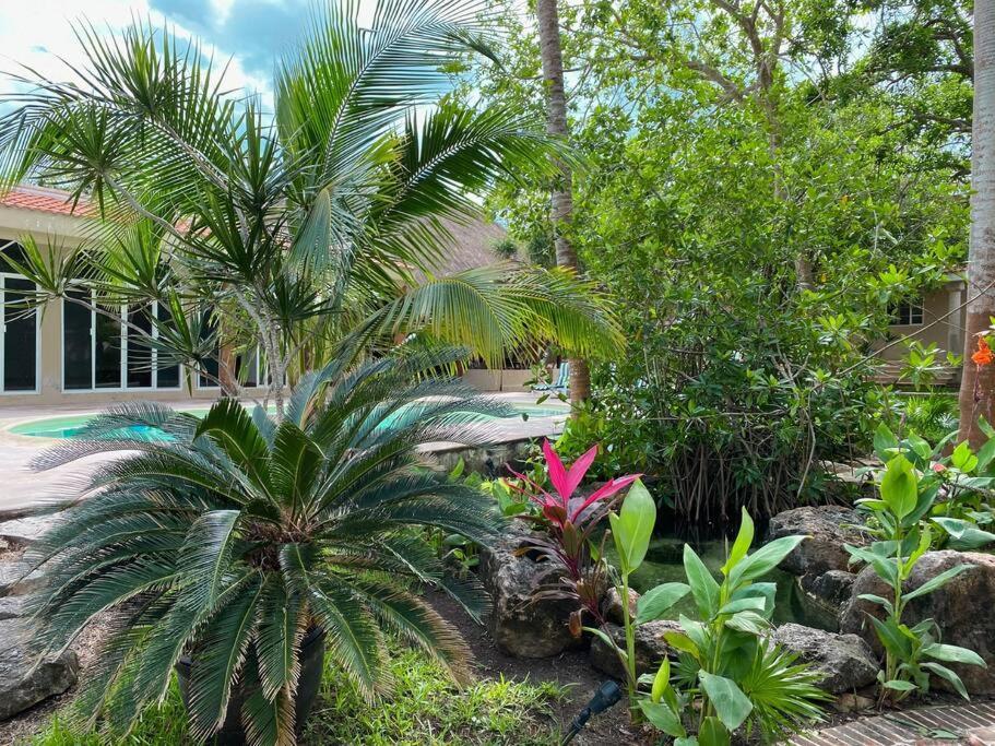 Casa Paamul Villa Playa del Carmen Bagian luar foto